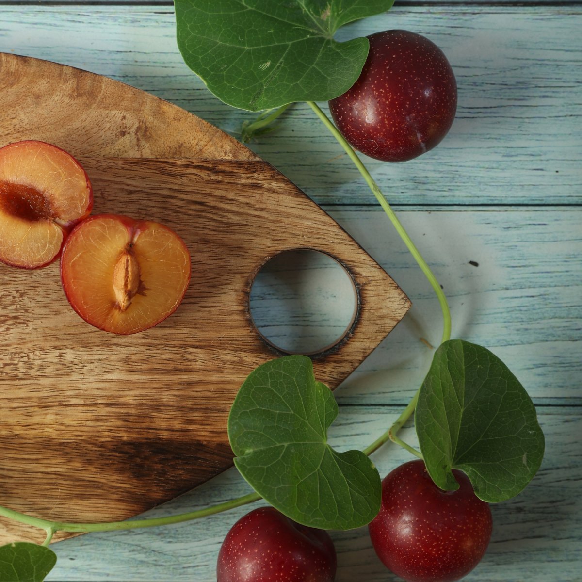 Oval Charcuterie/ Cutting Board - Aesthetic Living