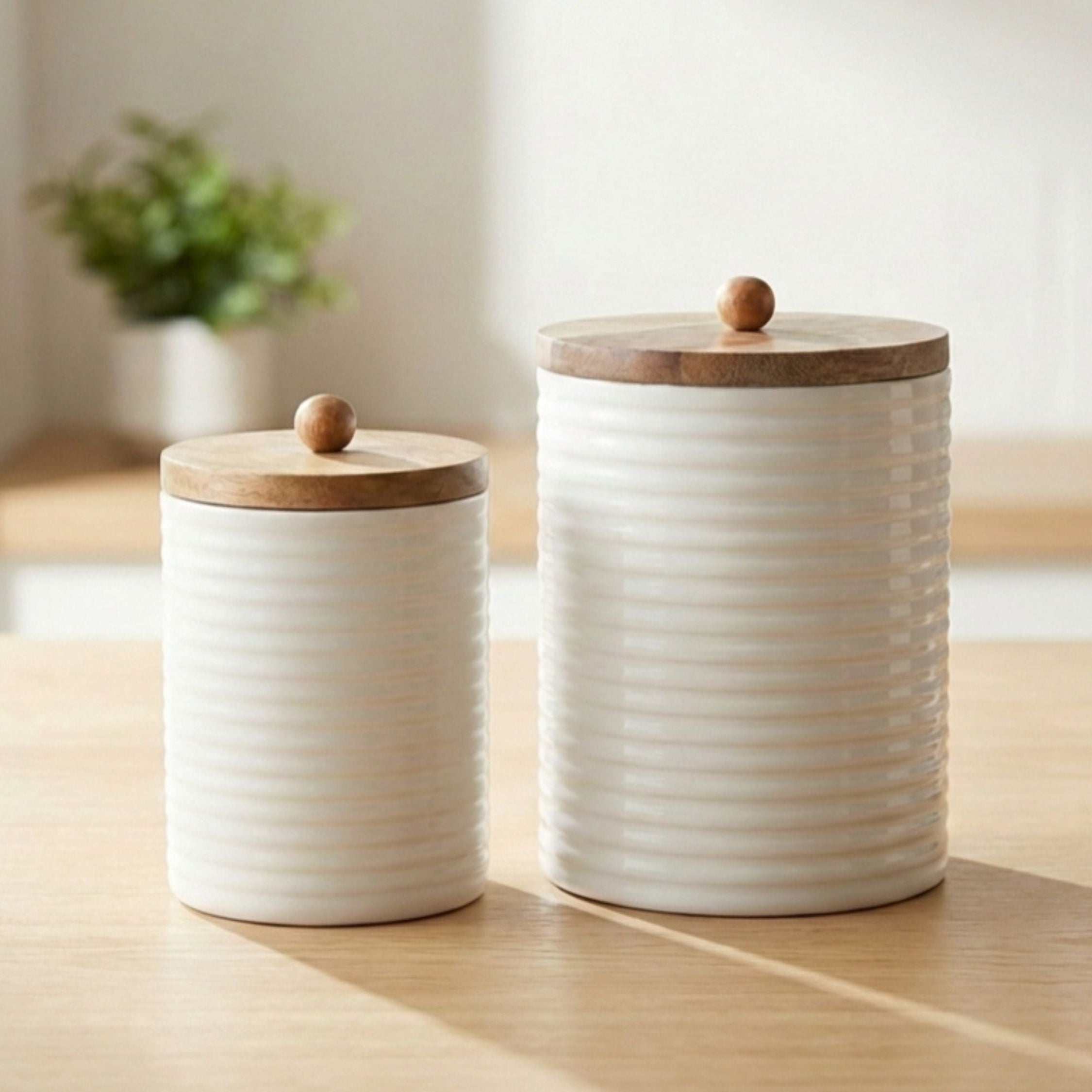 Tall Canisters with White Enamel, Set of 2 (Large and Small)