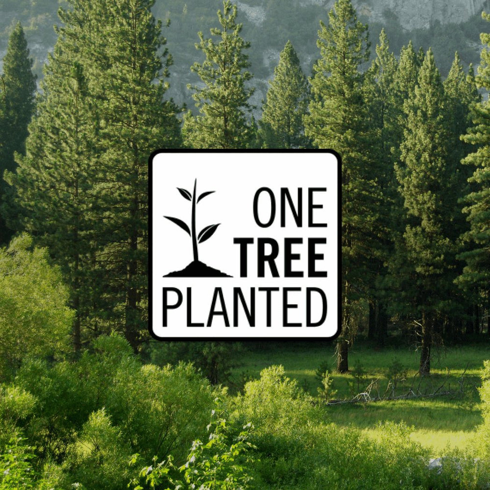 Donation of a Tree image 1